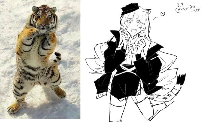 🐯🐯🐯 