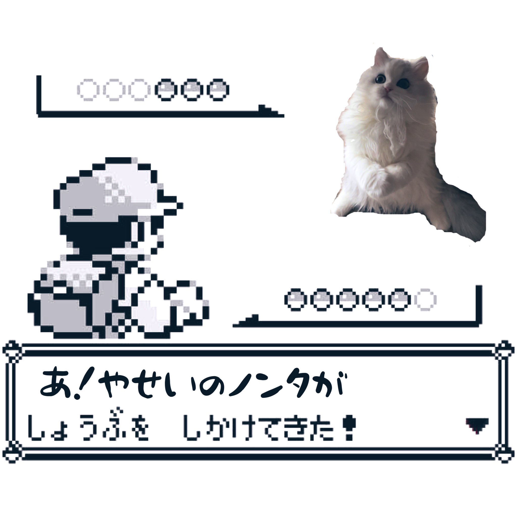 ネコランド ウチにレアポケモンいたわ T Co Mtoarijcfj Twitter