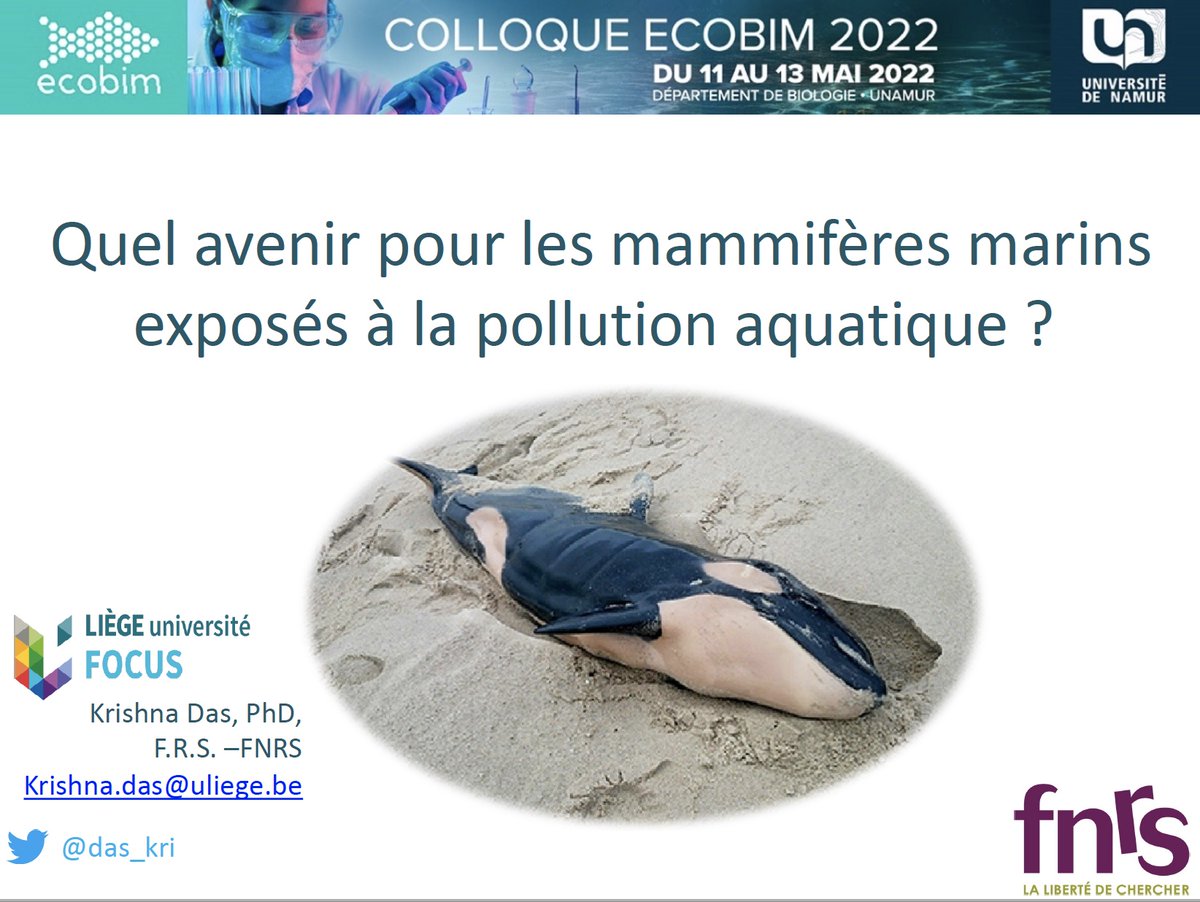 Krishna Das tweet media