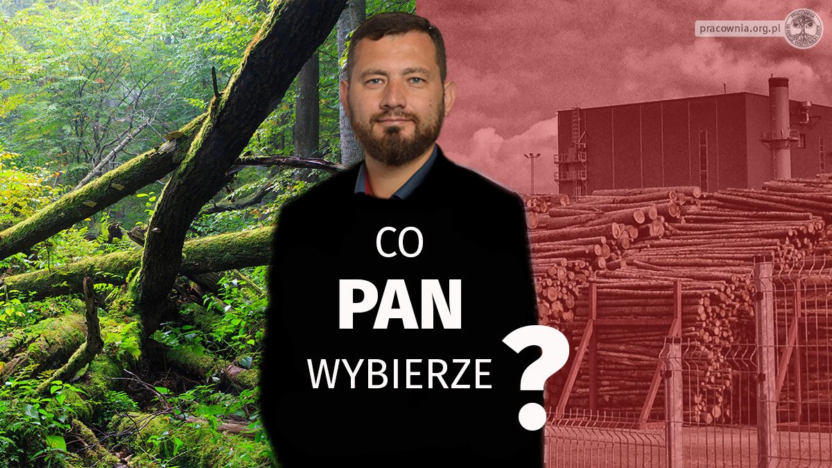 Czy 16. maja zagłosujesz nad zmianą nowej dyrektywy UE🇪🇺 w sprawie #OZE? Proszę głosować za poprawką kompromisową 9⃣  (NIE 9A‼️), aby wyłączyć spalanie biomasy leśnej z dotacji i celów w #REDIII. Potrzebujemy lepszego prawa, <a href="/PoselBalt/">Marek Balt</a>!! #stopfakerenewables 🔥🌳🌲🌲