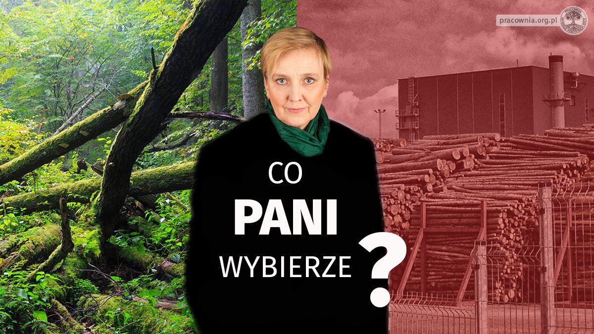 Czy 16. maja zagłosujesz nad zmianą nowej dyrektywy UE🇪🇺 w sprawie #OZE? Proszę głosować za poprawką kompromisową 9⃣  (NIE 9A‼️), aby wyłączyć spalanie biomasy leśnej z dotacji i celów w #REDIII. Potrzebujemy lepszego prawa, @rozathun !! #stopfakerenewables 🔥🌳🌲🌲