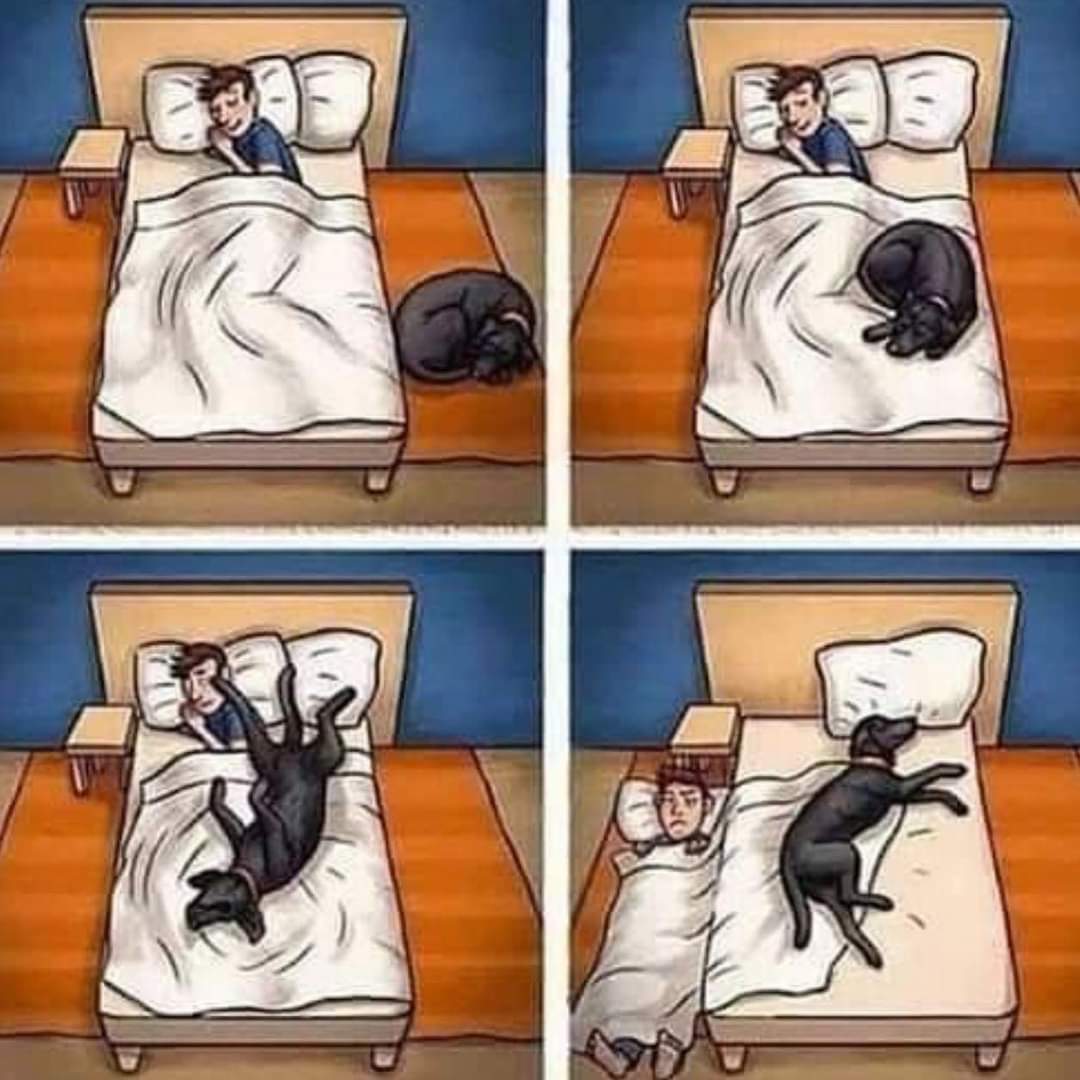 Que tu sueño sea así de reparador. Linda noche ZzzzZzz🥱