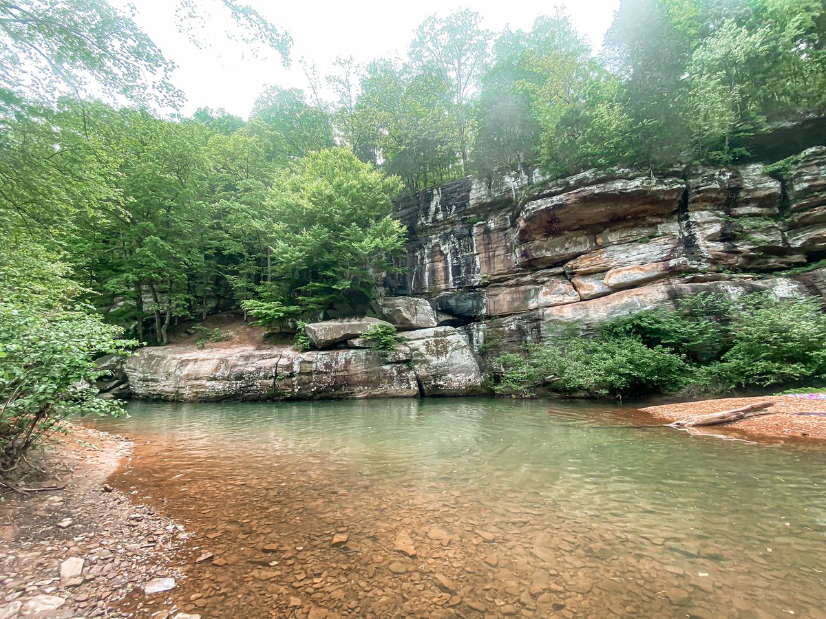 SydVish15's tweet photo. gosh I love summer time !!!!! 💚 https://t.co/IRuAgOVD4p