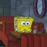 koni_chihuahua's tweet photo. Taylor Swift fans rn https://t.co/xQNZWgyp6D