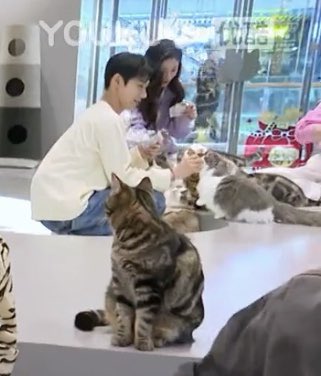 minedejunn's tweet image. เอ็นดูน้องคนนี้ เค้านั่งมองเตนล์ตลอด เดินเข้าไปเลยคับหนู