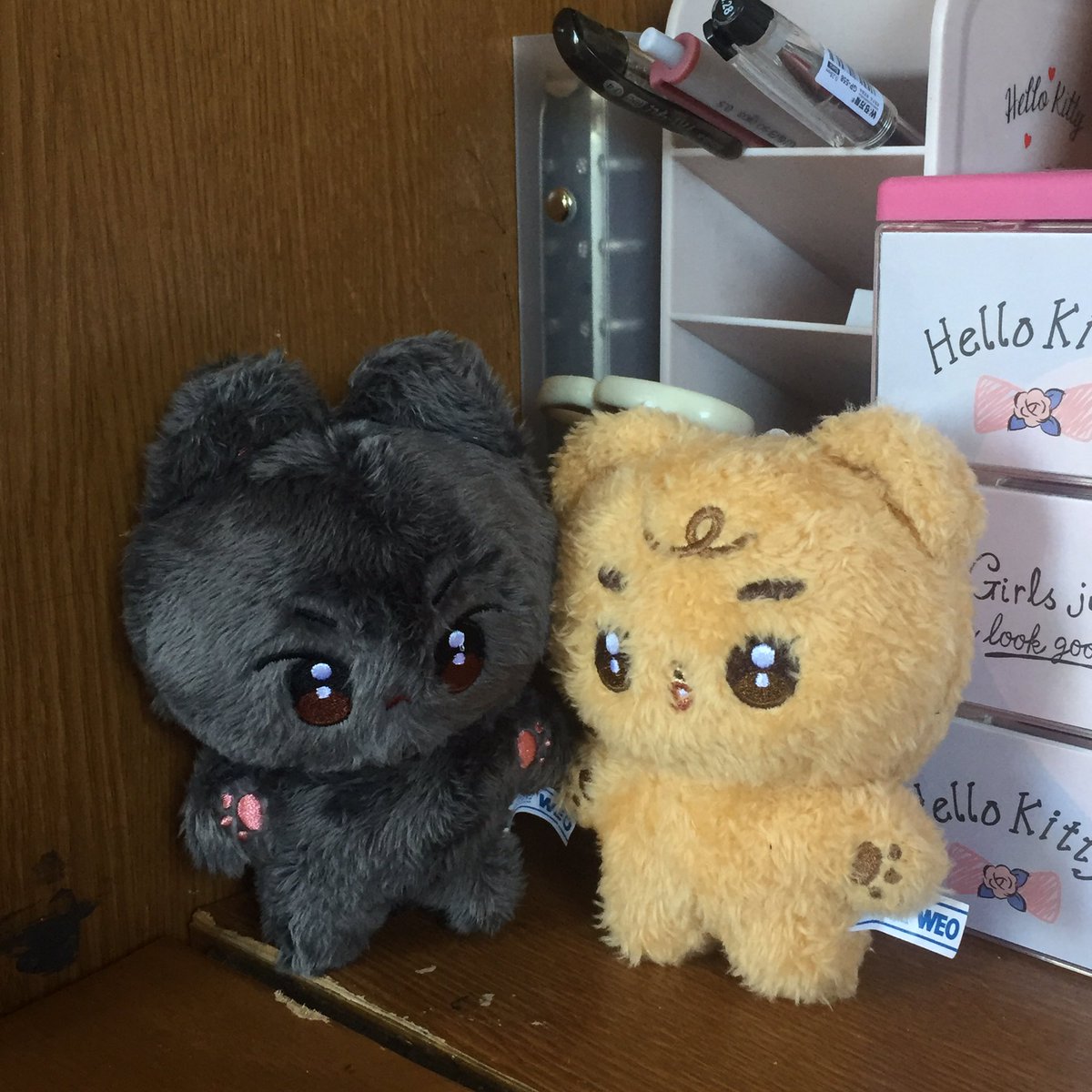 mqhaul's tweet photo. my milkyu dolls arrived 💗 thank u for hosting this GO and for the secured packaging !  until next time ^___^ 

#CloverAlleyReviews
@CloverAlleyPH https://t.co/B5pwANMHDR