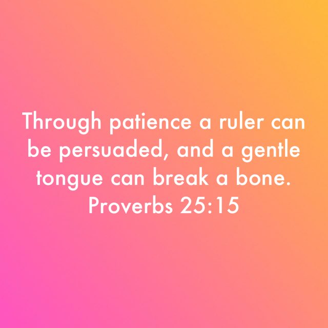 Elbert Or tweet media