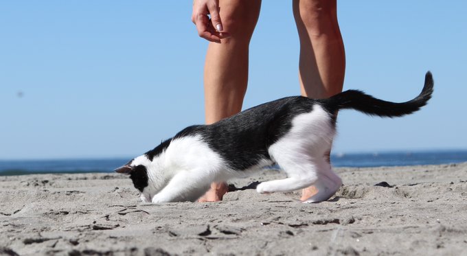 Playing with my #pussy in #public on the #beach would normally make me worried I'd get #arrested guess<a href="/tag/pussy"class="tags">#pussy</a><a href="/tag/public"class="tags">#public</a><a href="/tag/beach"class="tags">#beach</a><a href="/tag/bikini"class="tags"><span>#bikini</span></a><a href="/tag/summer"class="tags"><span>#summer</span></a><a href="/tag/barefoot"class="tags"><span>#barefoot</span></a><a href="/tag/milf"class="tags"><span>#milf</span></a><a href="/tag/arrested"class="tags"><span>#arrested</span></a><a href="/tag/kittykitty"class="tags"><span>#kittykitty</span></a>