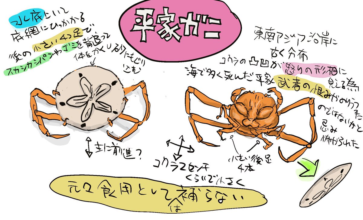 描く段になって意外なものがあれば是非そう描きたい
#犬王 #時代劇 #へ〜 