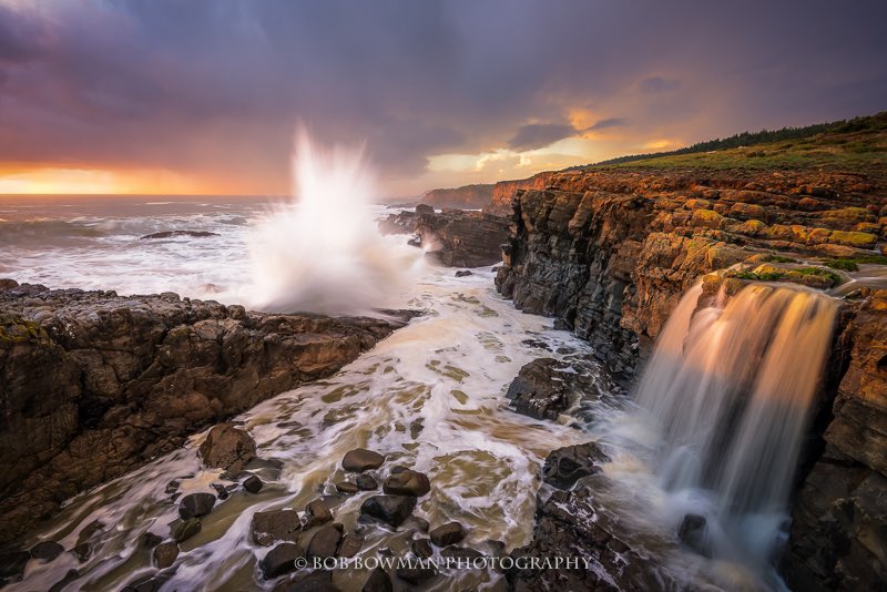 BobBowmanPhoto1's tweet photo. “Explosive Nature”

Sonoma Coast, California 

#landscapephotography #NaturePhotography #photography #Nikon https://t.co/TyQhkEAts5
