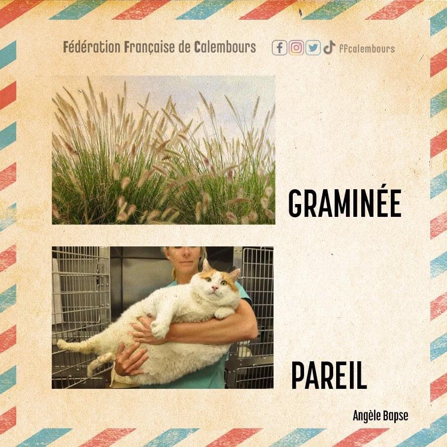 Ffcalembours's tweet photo. Le pareil du jour https://t.co/p2aI8Zm7Ld