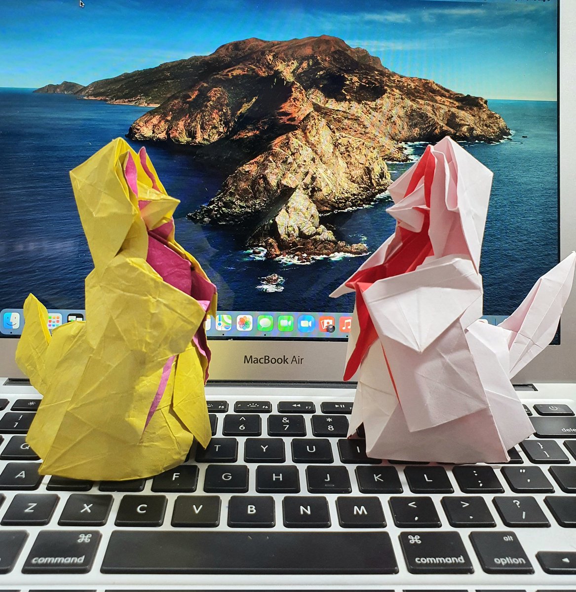 PHONGTHIENTHAN's tweet photo. Fox weding
Katsuta Kyohei
Size 30 ×30 https://t.co/aGO2pplIq1
