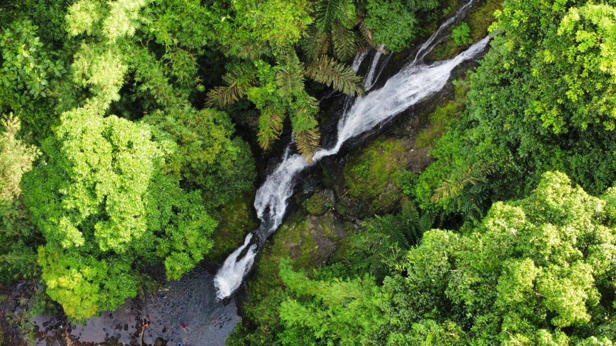 EdwinNurdjajadi's tweet photo. #Sebarau #Waterfall in #Padawan is now reopen for public! Im super happy & bringing my family for bbq here on #SundayMorning @tlyadeen @tsurune64 @SimpletonED @TuaiRumahKitai @aaygx @el_6sixty6 @Erichdan #Friday #auspol https://t.co/fdxgfmBTpc