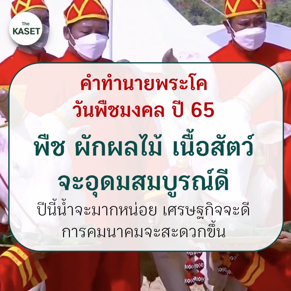 The Kaset tweet media