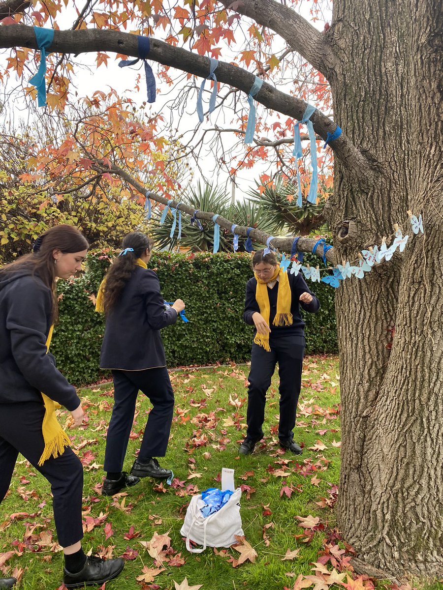 Student Leaders brought awareness to Santa today, in support of Do it for Dolly - a campaign to make the world a kinder and safer place for children. Our community joined together to share words of kindness, united in our strong stance against bullying. <a href="/dollysdream_aus/">dollysdreamaustralia</a>