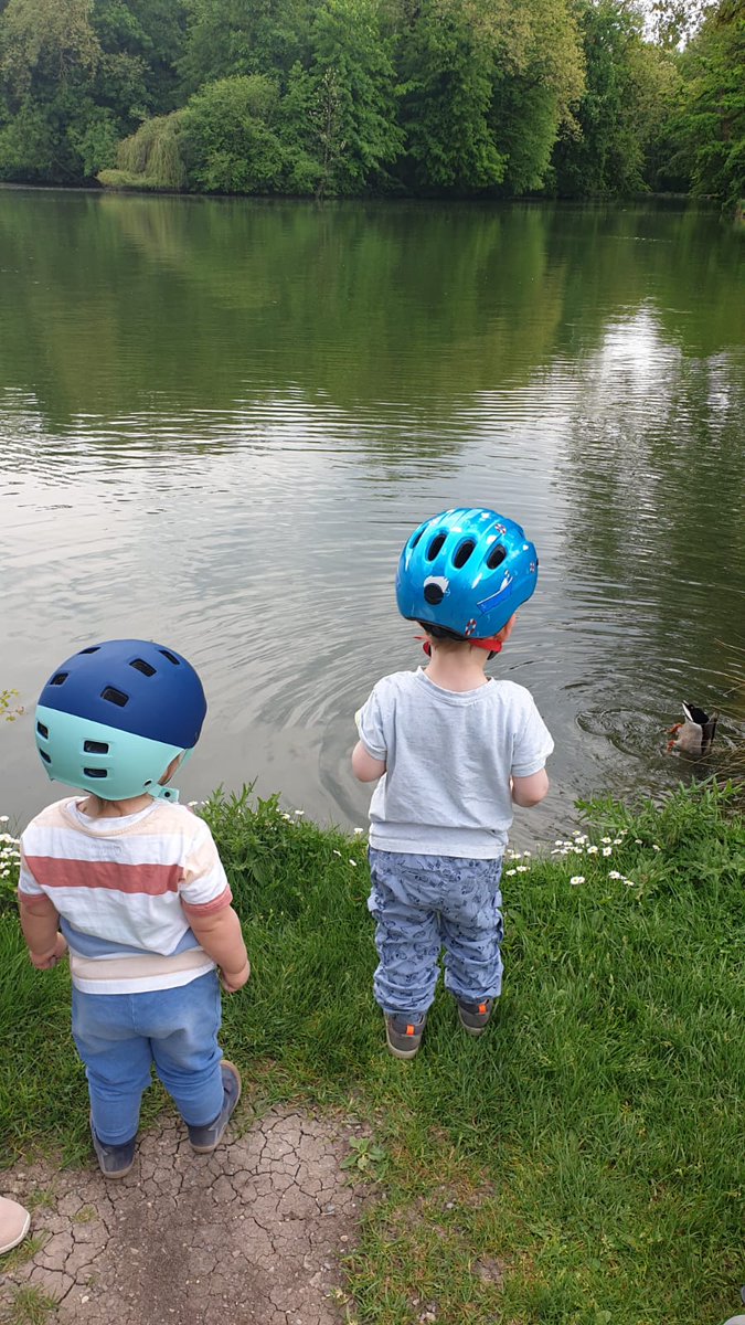 KarinMAIER9's tweet photo. @harrypetsanis Off course Harry🥰 One oft he main points in living: To be honest to yourself and to others🎗️Humans can mostly learn from young kids, because they live their honesty... until they get education, sometimes than they loose it🍀 https://t.co/4XlBZkNVlp