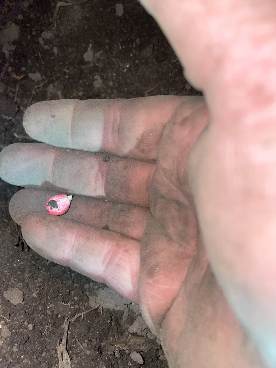 Jordan Davison tweet media