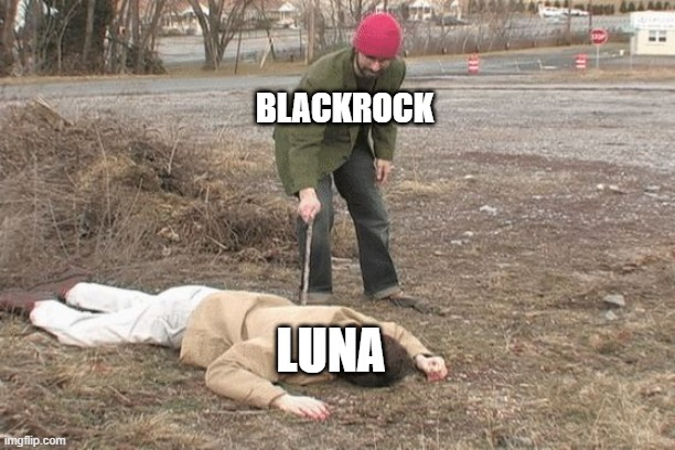 RealHankShill's tweet photo. @TopCrypto_Memes https://t.co/UbYnbfYacB
