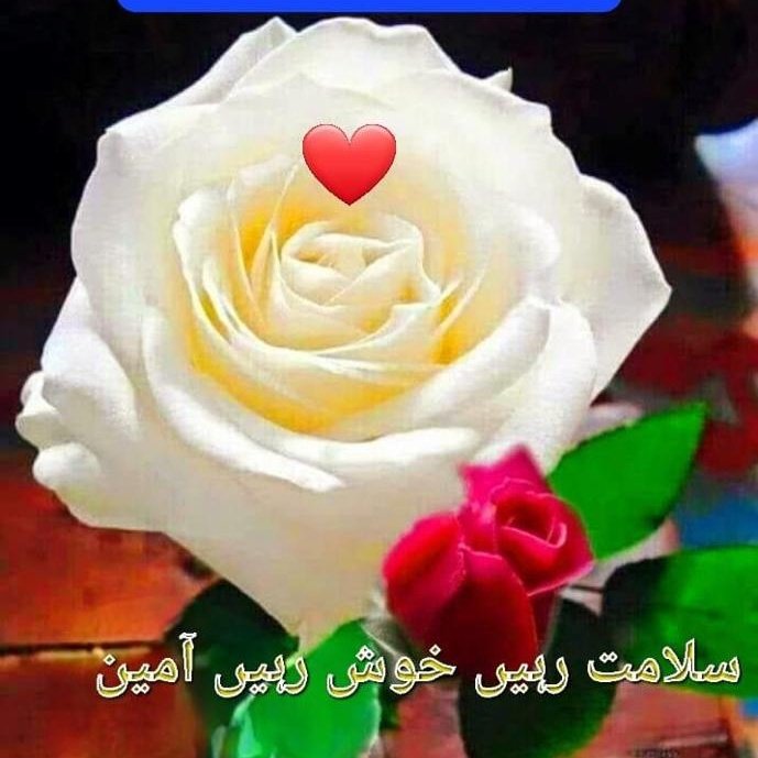 mlashkwr's tweet photo. السلام علیکم https://t.co/wo6kuEg330