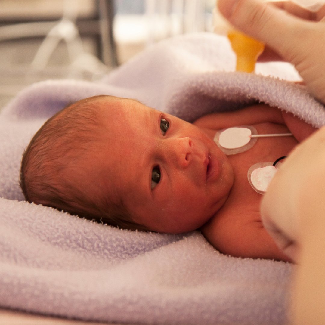 Sensory Beginnings tweet media