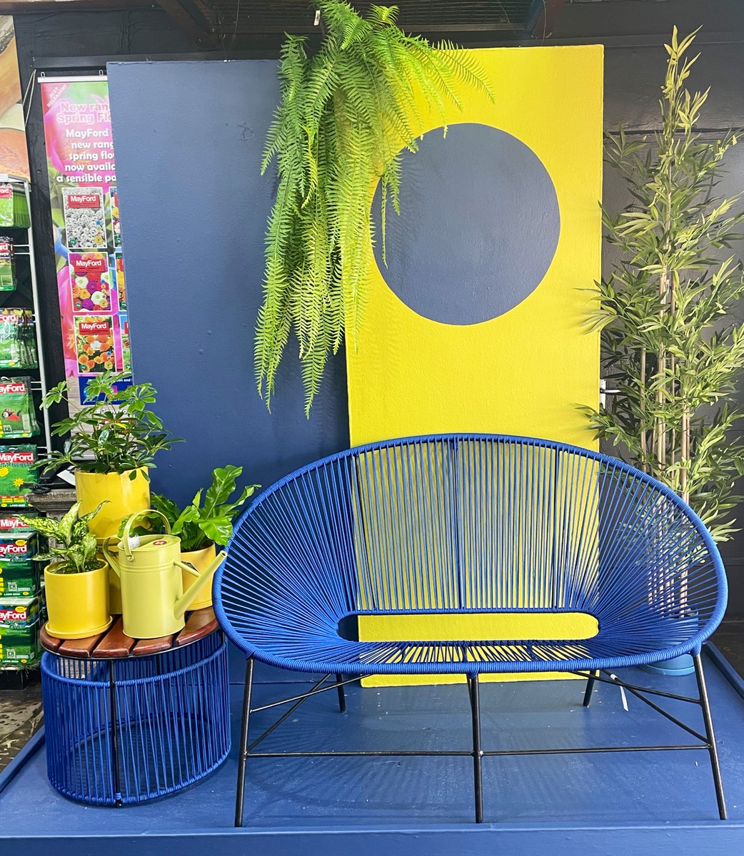 EckardsGarden's tweet photo. New display colours for winter at Eckards. We’re into the #chartruse and #blue combo 🌸 https://t.co/eU9WAURFfO