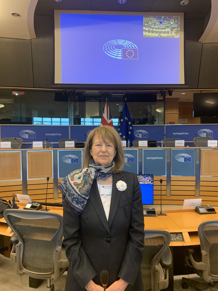 First half day session of new UK Parliament/European Parliament Assembly done and dusted.We are established and have a strong purpose plus a rule book. and full membership of 35 members each side.Six monthly meetings alternating between Brussels and London.Our turn next time.