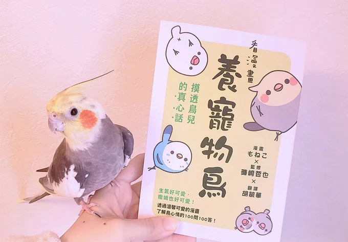漫画を手がけました「とりほん」の翻訳版が台湾で出版されました👏すごい!

我的鹦鹉漫画的翻译版本已在台湾出版🐥最好的问候! 