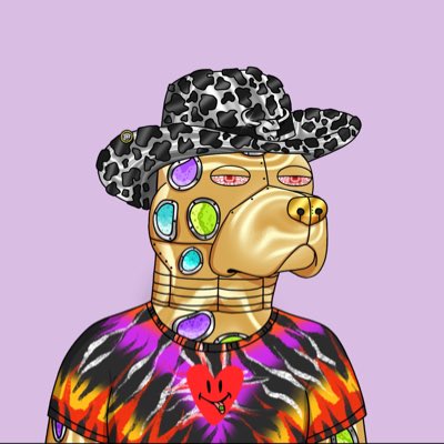Thecryptochase tweet media