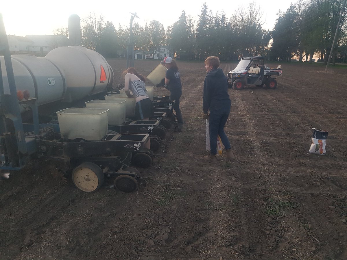 Beautiful evening to plant test plots. Lots of good looking help too!