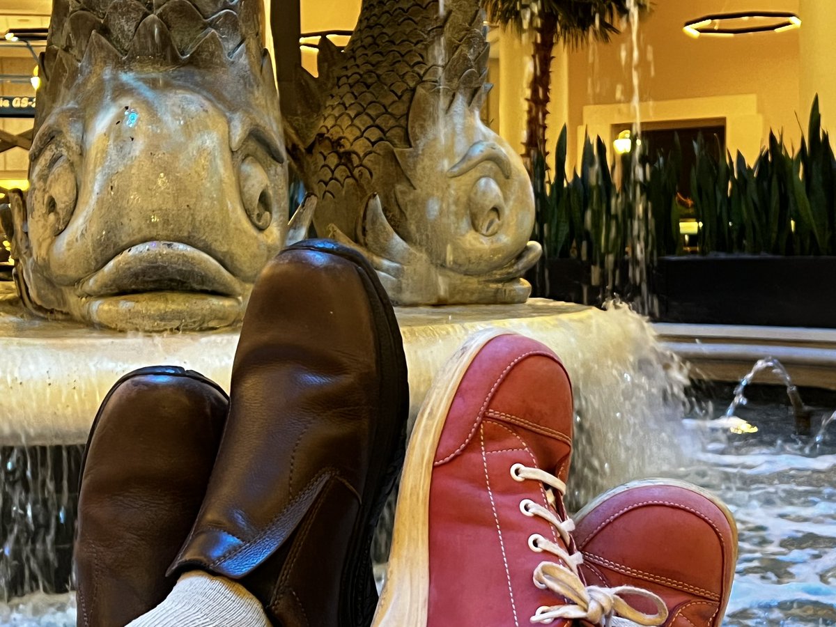 nlundebjerg's tweet photo. 1:15 am 5/13/2022 Contemplating why the dolphin hotel has large mouth bass in its fountain instead of dolphins with @doctatum #stanima #thisisgeriatrics #ags22 only missing @EWidera https://t.co/SlluN4emrX