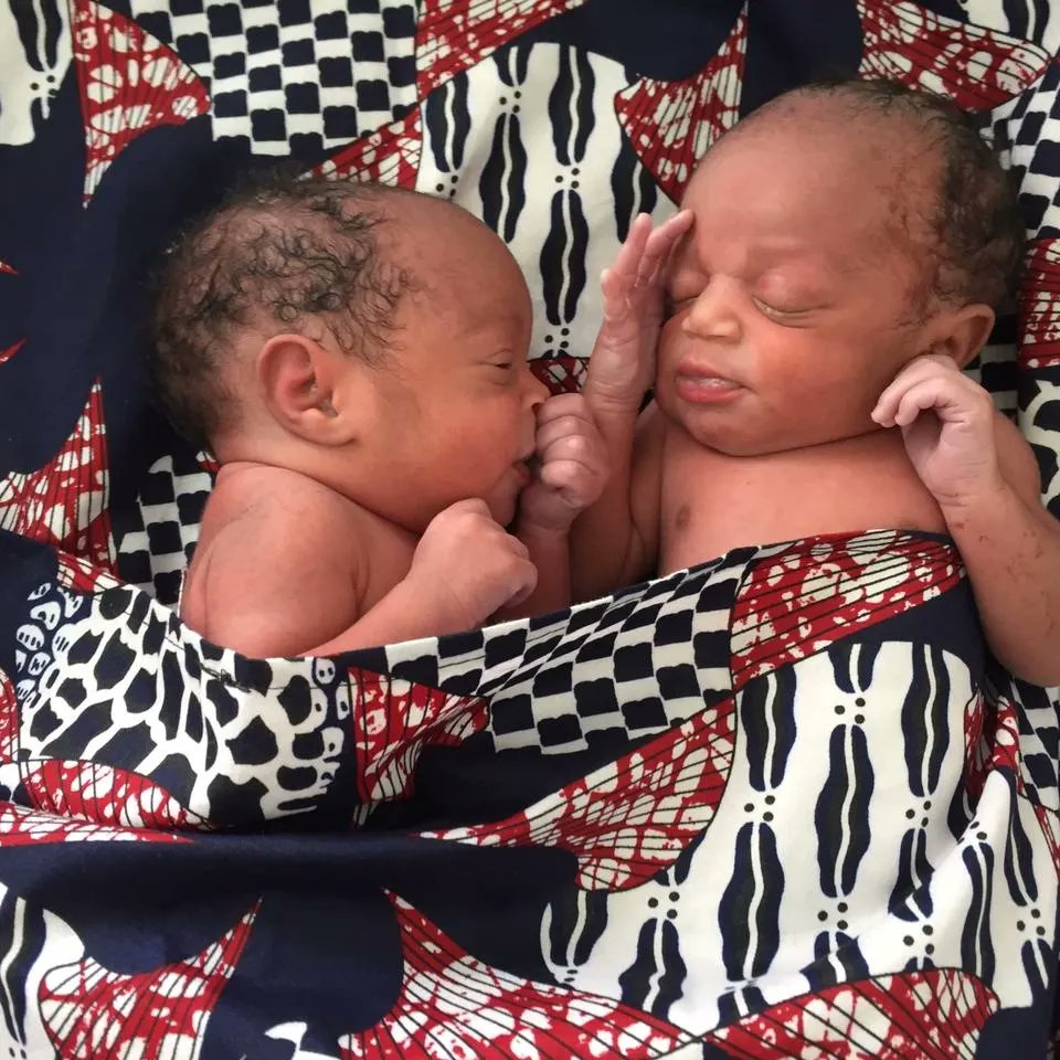 TotoCareBox tweet media