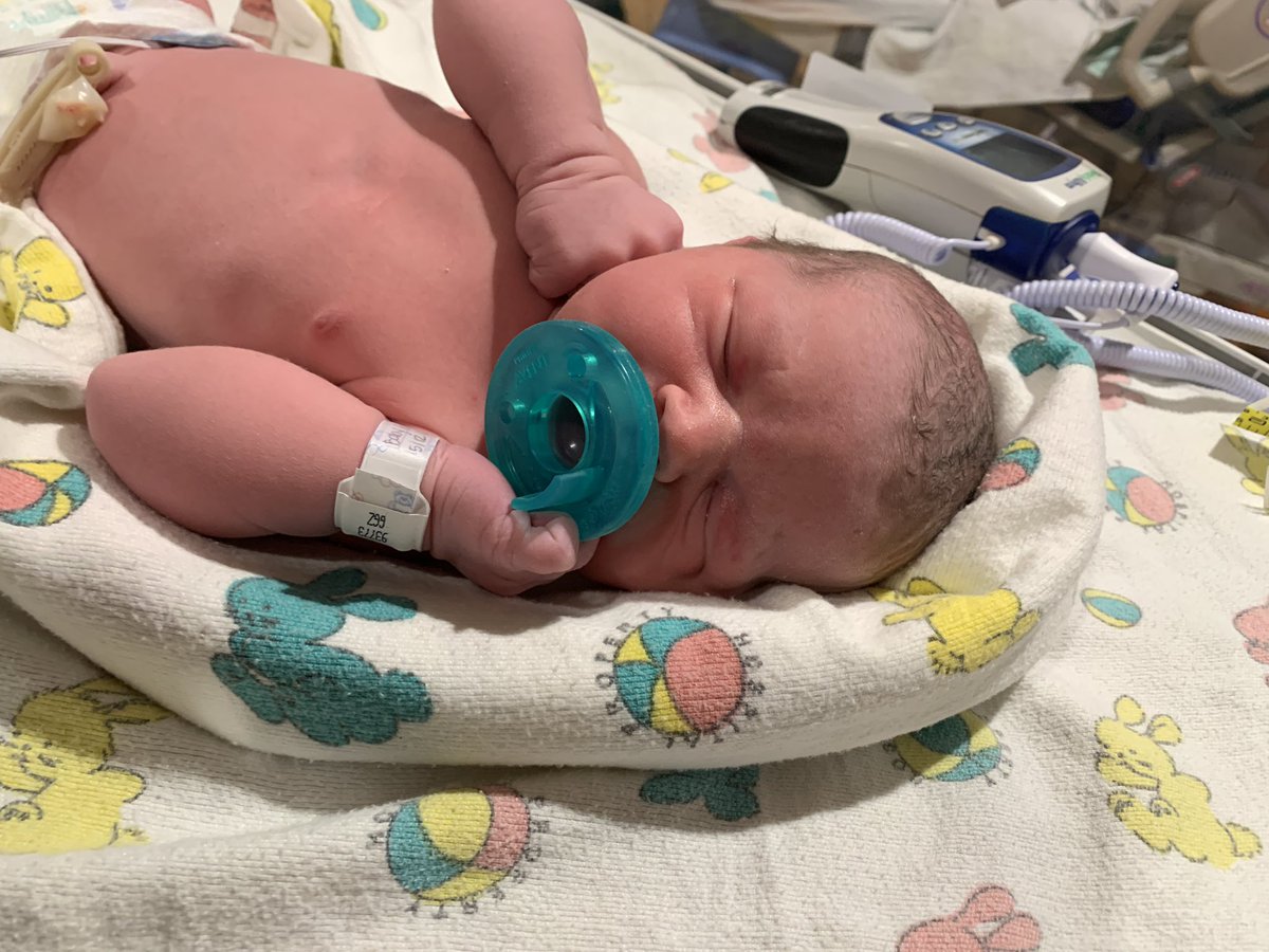 ₿obStrick ⚡️ tweet media