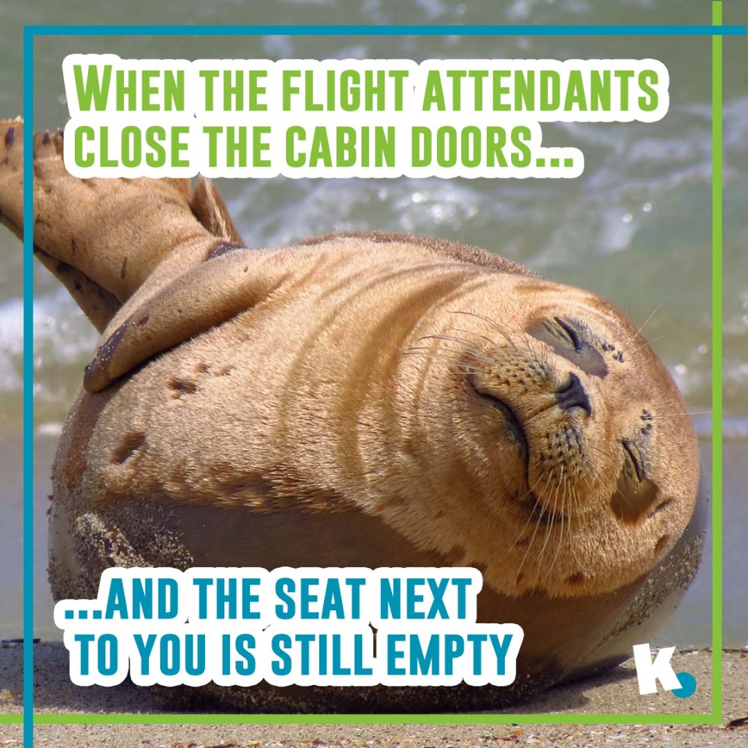 Most travellers will agree that there's nothing better than realising you have an empty seat next to you on a plane. This simple perk provides high nap potential and room to spread out! Agreed?
#kulula #LoveofTravel