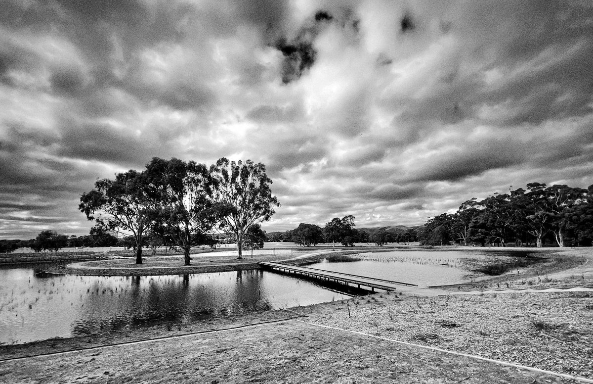 angusmeek's tweet photo. Pakapakanthi/Victoria Park wetlands. #Adelaide https://t.co/Z2Abcb7aBr