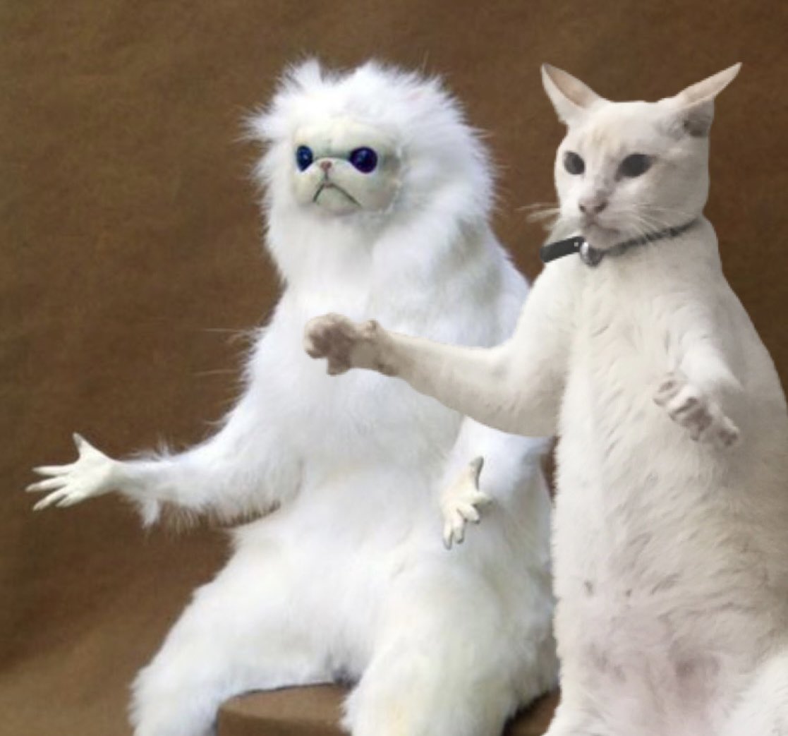 Kiips (@kiipsy_) on Twitter photo 