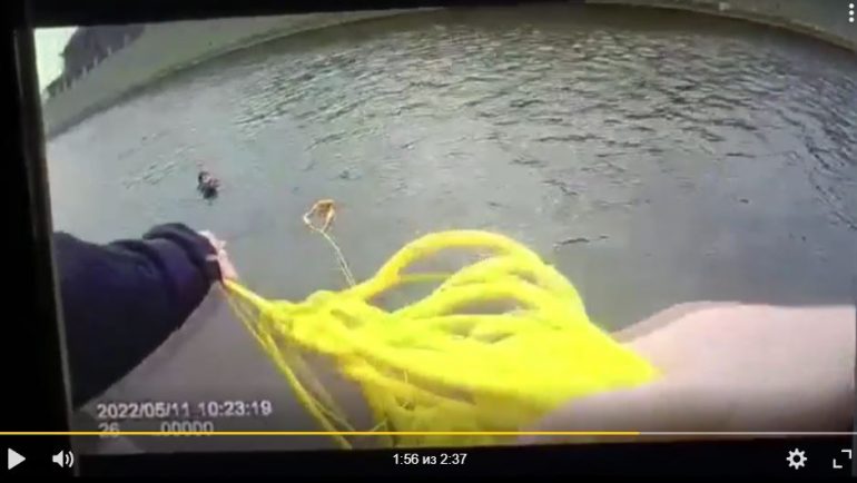 Мойка78 tweet media