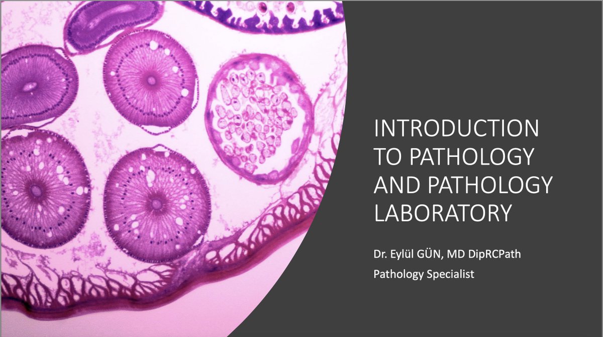 dreylulgun's tweet photo. I gave my first lecture as a pathologist to medical students today and once more felt grateful that I have chosen this specialty as a career. Pathology rocks!
#PathTwitter #pathology #MedTwitter #pathologyeducation #educate #Path2Path #insitupathologist #medicaleducation https://t.co/MZCWT4Zg64