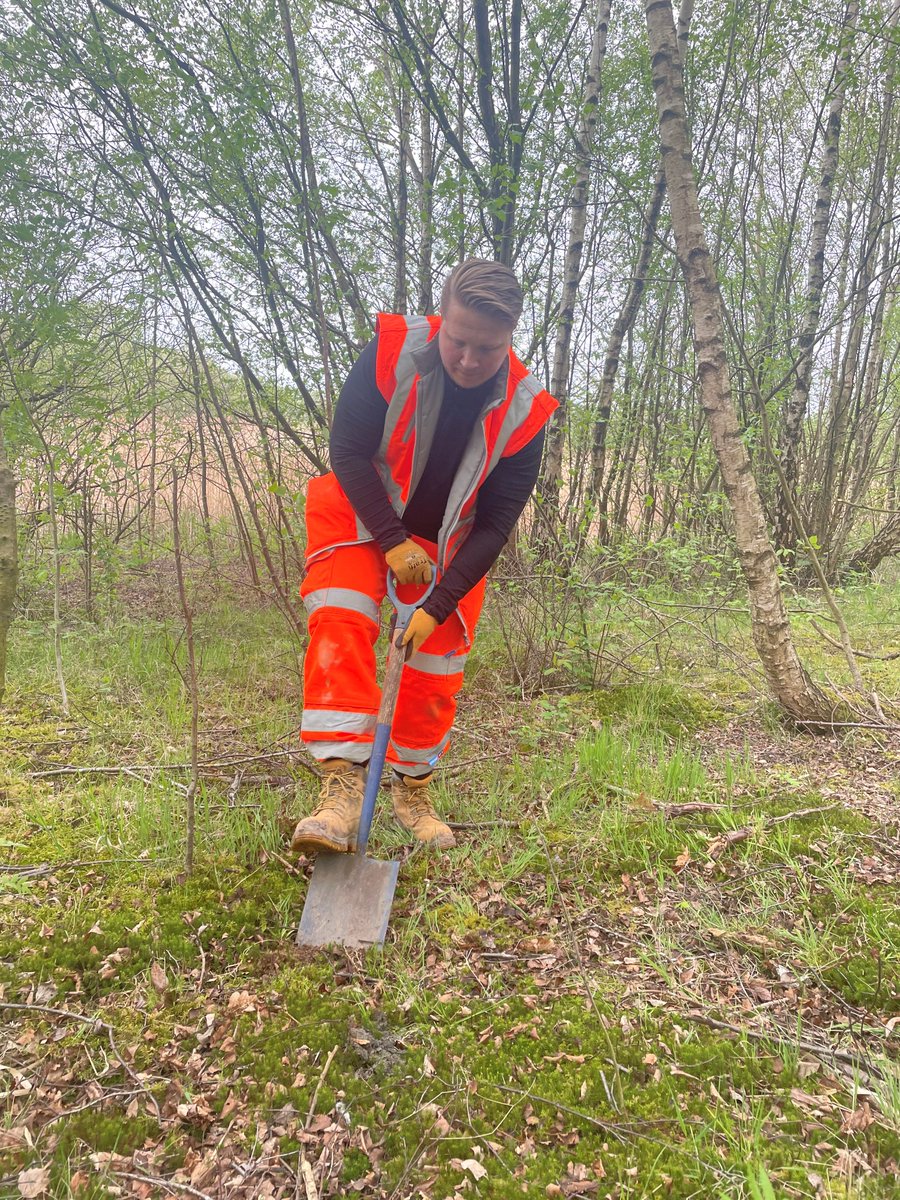 MurphyGroup1951's tweet photo. Well done to our Murphy colleagues who used part of their #GivingBackDays to plant an impressive 135 Oak tree plugs in a secluded part of Colliers Moss Woodland in support of the Mersey Forest #MoreToMurphy #OneMurphy #ClimateAction https://t.co/rrUf5cREnE
