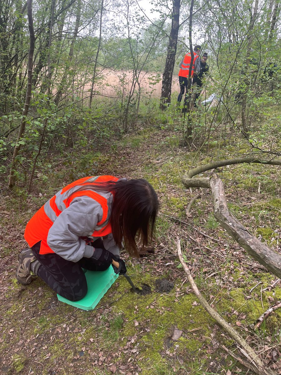 MurphyGroup1951's tweet photo. Well done to our Murphy colleagues who used part of their #GivingBackDays to plant an impressive 135 Oak tree plugs in a secluded part of Colliers Moss Woodland in support of the Mersey Forest #MoreToMurphy #OneMurphy #ClimateAction https://t.co/rrUf5cREnE