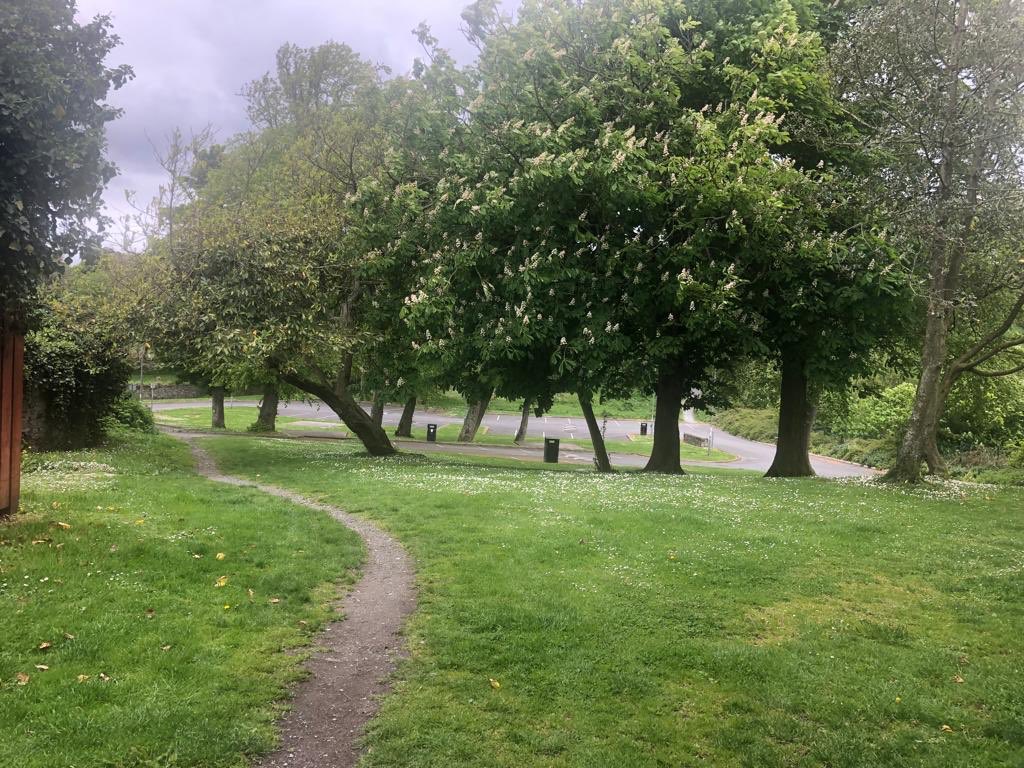 portaferrytrees's tweet photo. Ropewalk Car Park Portaferry Conservation Area Thurs 12.5.22 at 12.55 EMPTY (51 free spaces). #stopthechop https://t.co/iktv0VaIsN