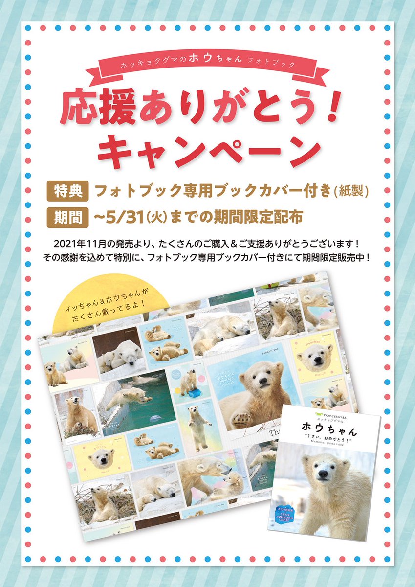公式】『ホッキョクグマのホウちゃん』フォトブック@発売中