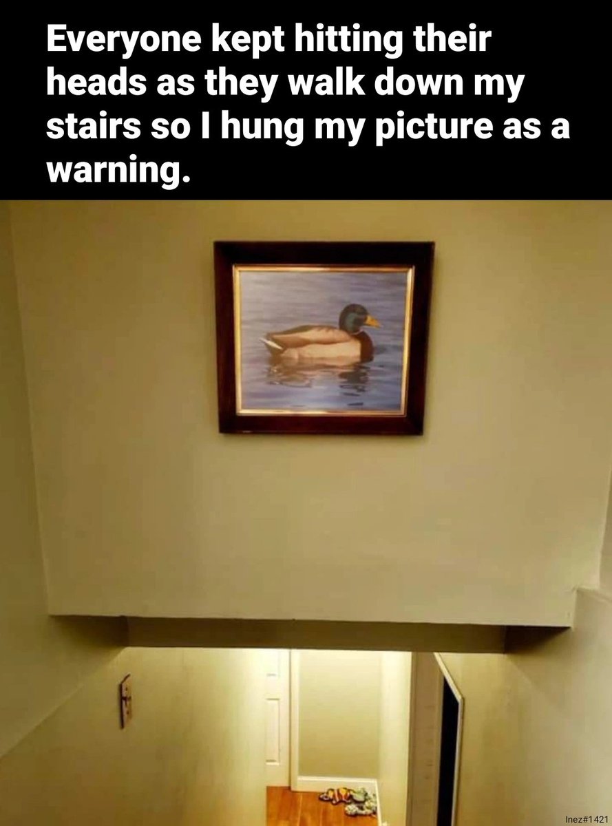 delicate_inez's tweet photo. I gave so many signs👀🏴‍☠️🦜
@memeland @9gagceo @9GAG https://t.co/XtiiXvZZvh