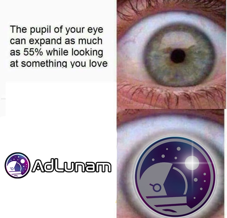 Michelle Shriver tweet media