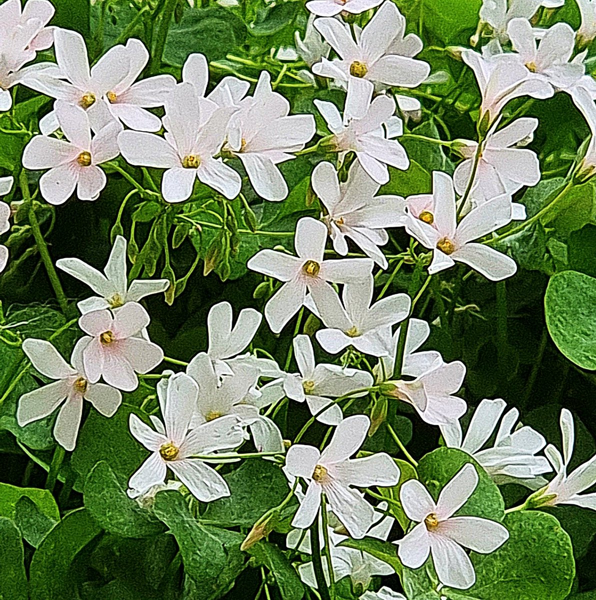 JinSeop Kim(辰燮 金) (@kimjinnam4) on Twitter photo 