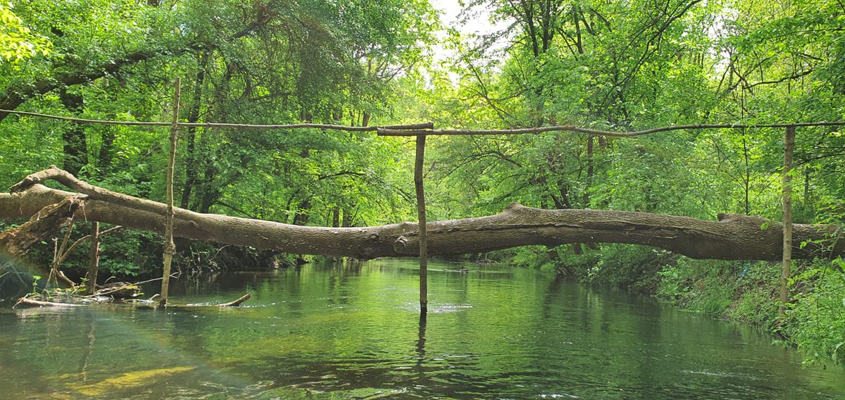 RNP_Romsilva's tweet photo. Imagini frumoase din Parcul Natural Comana.
#Comana #Romania #tourism #NaturePhotography #naturelovers https://t.co/1qpLSWvVvb