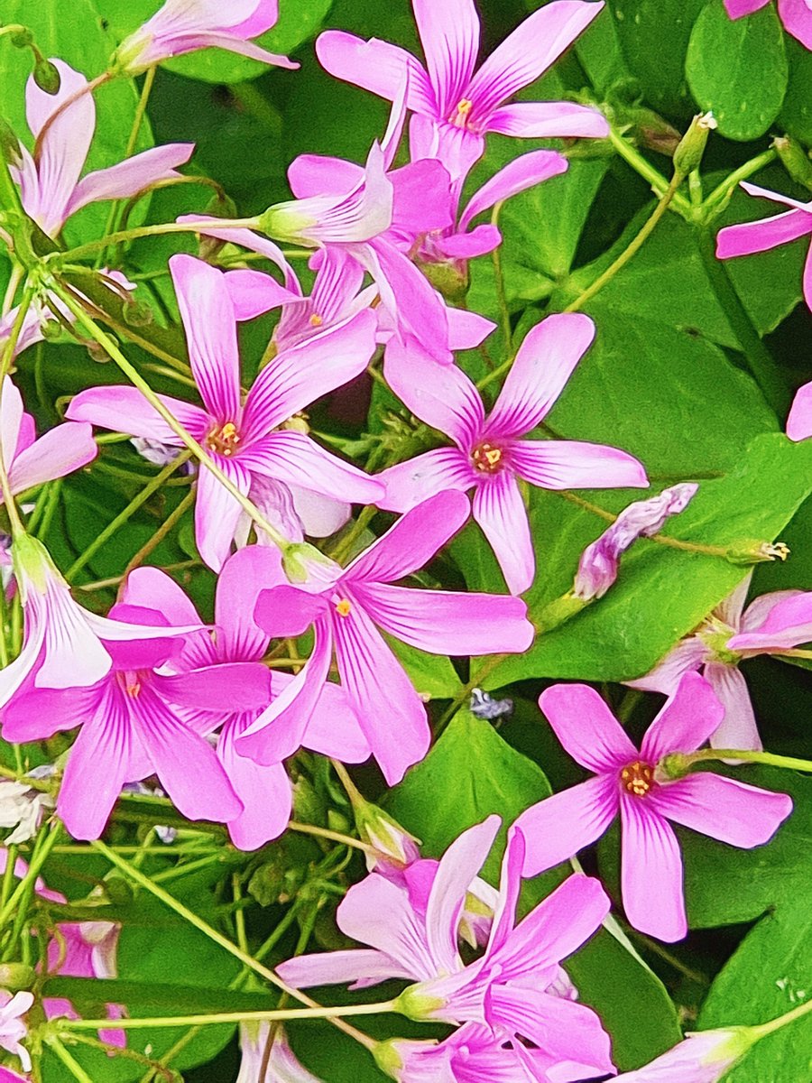 JinSeop Kim(辰燮 金) (@kimjinnam4) on Twitter photo 