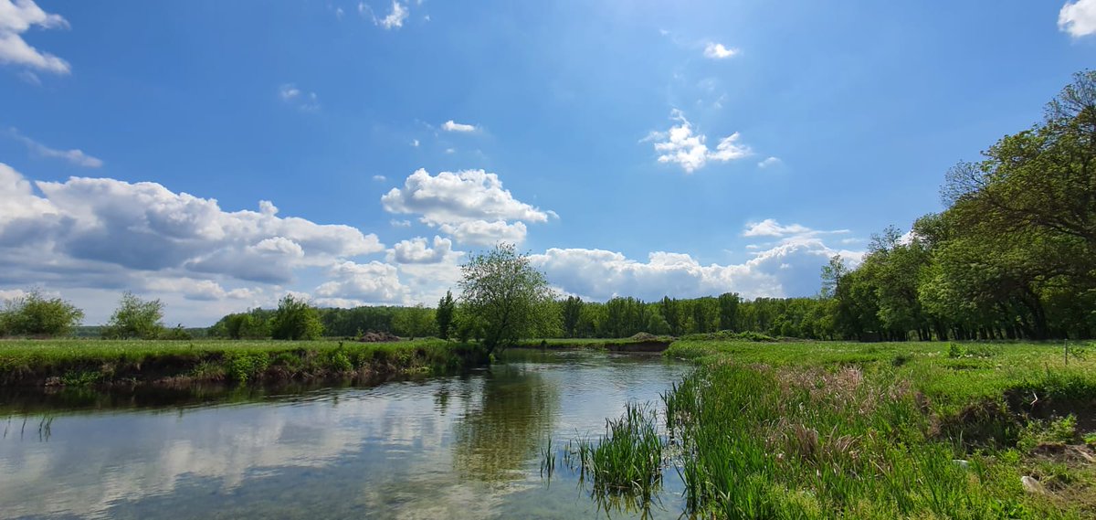 RNP_Romsilva's tweet photo. Imagini frumoase din Parcul Natural Comana.
#Comana #Romania #tourism #NaturePhotography #naturelovers https://t.co/1qpLSWvVvb