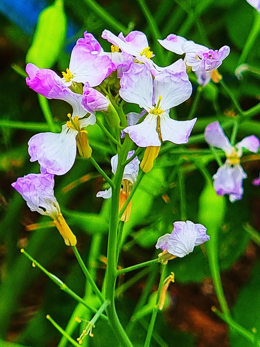 JinSeop Kim(辰燮 金) (@kimjinnam4) on Twitter photo 