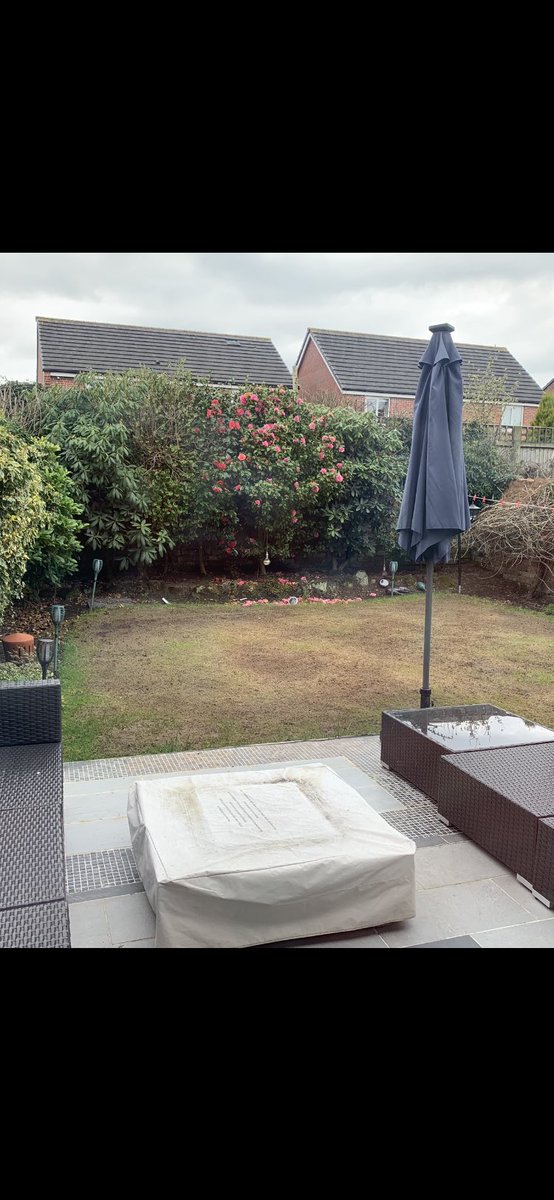 GedMorgan's tweet photo. Deep scarified  , start of April .
Seeded , feed and nice dose of fertiliser,not happy yet but getting there eh 👍 https://t.co/qcRP4FS8bX