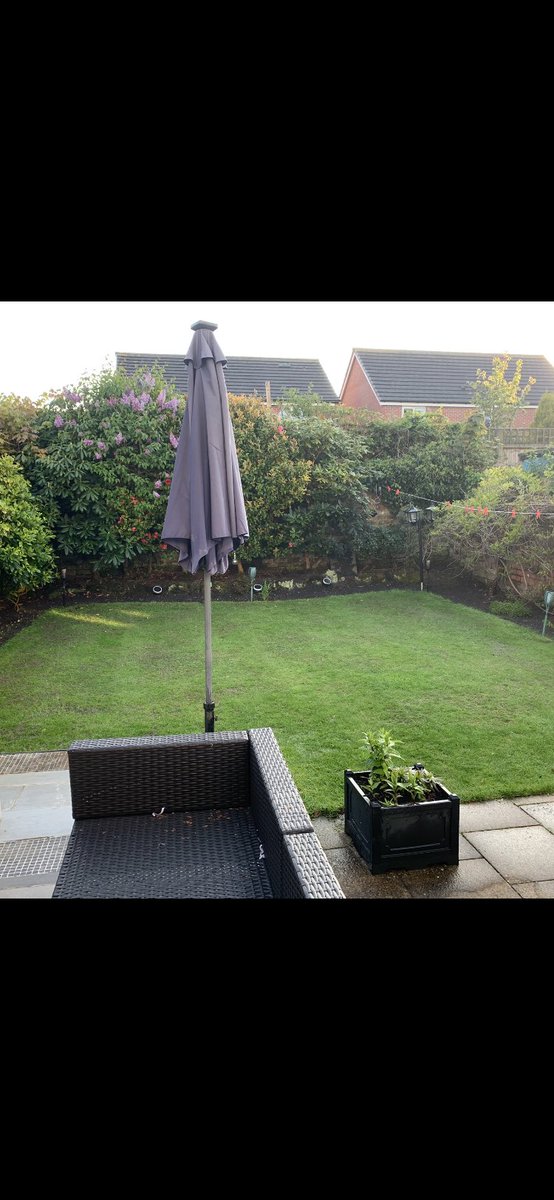 GedMorgan's tweet photo. Deep scarified  , start of April .
Seeded , feed and nice dose of fertiliser,not happy yet but getting there eh 👍 https://t.co/qcRP4FS8bX